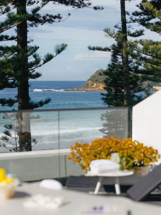 Elysium Suite at Elysium Manly with sun loungers by a table of plants, overlooking the sea and trees from the hotel deck