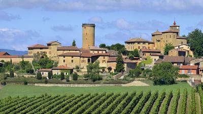 Vue aérienne d'un village médiéval avec des maisons en pierre, une tour, et des vignobles environnants.