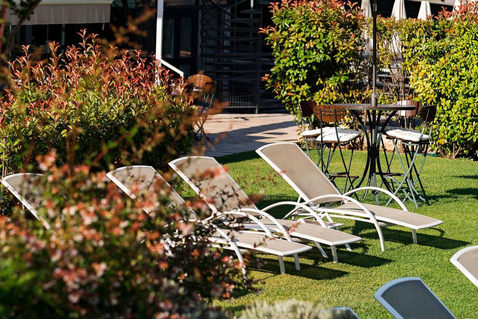 Bain de soleil dans Jardin