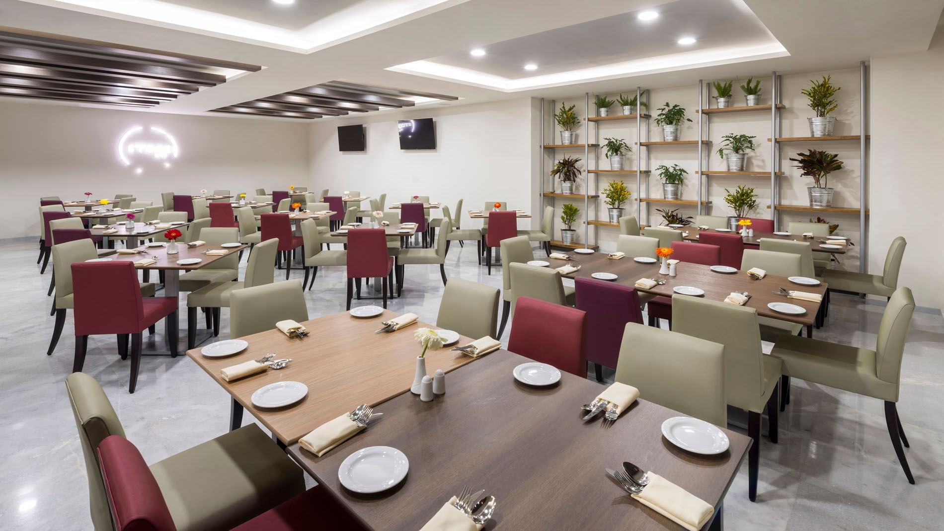 Stock Café dining area showing a decorative plant wall and organized seating for hotel guests at Real Inn Celaya