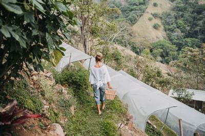 Lady walking through the garden at Retreat Costa Rica