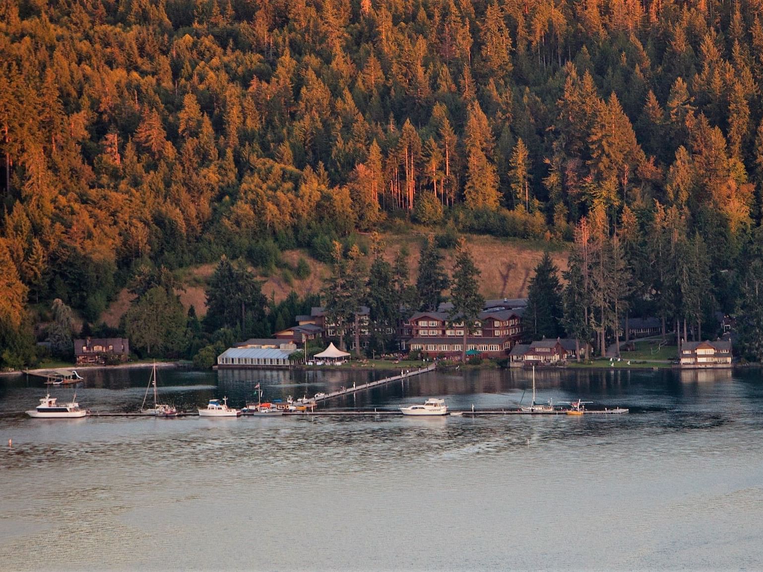 Aerial view of the Alderbrook Resort & Spa and the forest