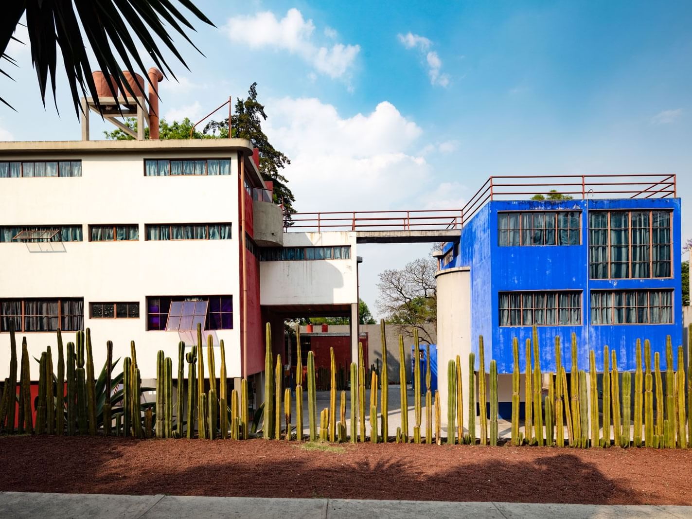 Diego Rivera & Frida Kahlo Study Museum near Marquis Reforma