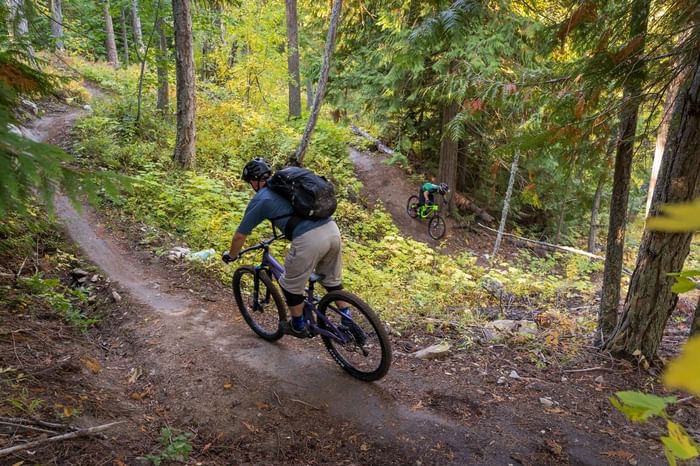 Two cyclists ride mountain bikes on a narrow, winding trail through a dense forest with autumn foliage.