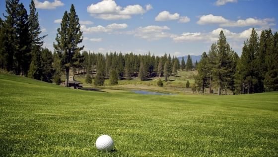 A golf ball rests on the manicured green, with a water hazard and pine trees in the background near Americana Village Suites