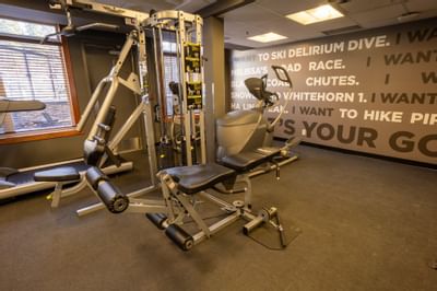 Modern gym with machines, weights, and exercise balls, offering a full workout space at Blackstone Mountain Lodge