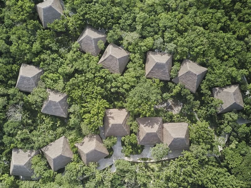 Aerial view of the Hotel surrounded by trees at The Explorean Cozumel
