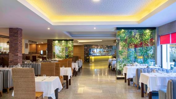 Terrace – Main Restaurant 