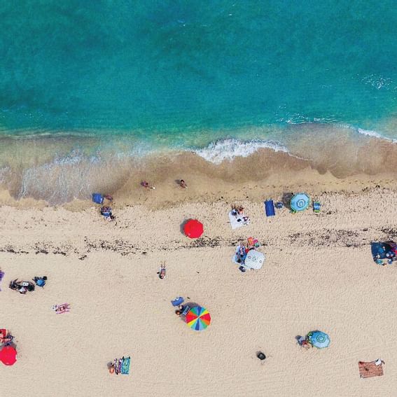 Aerial view of sunbeds & umbrellas at Dream South Beach