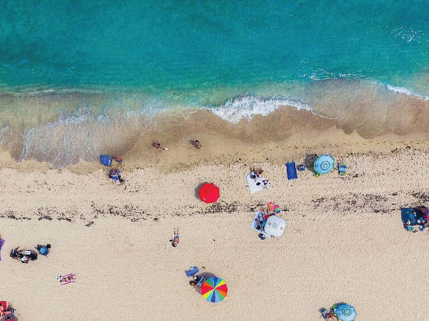 Aerial view of sunbeds & umbrellas at Dream South Beach