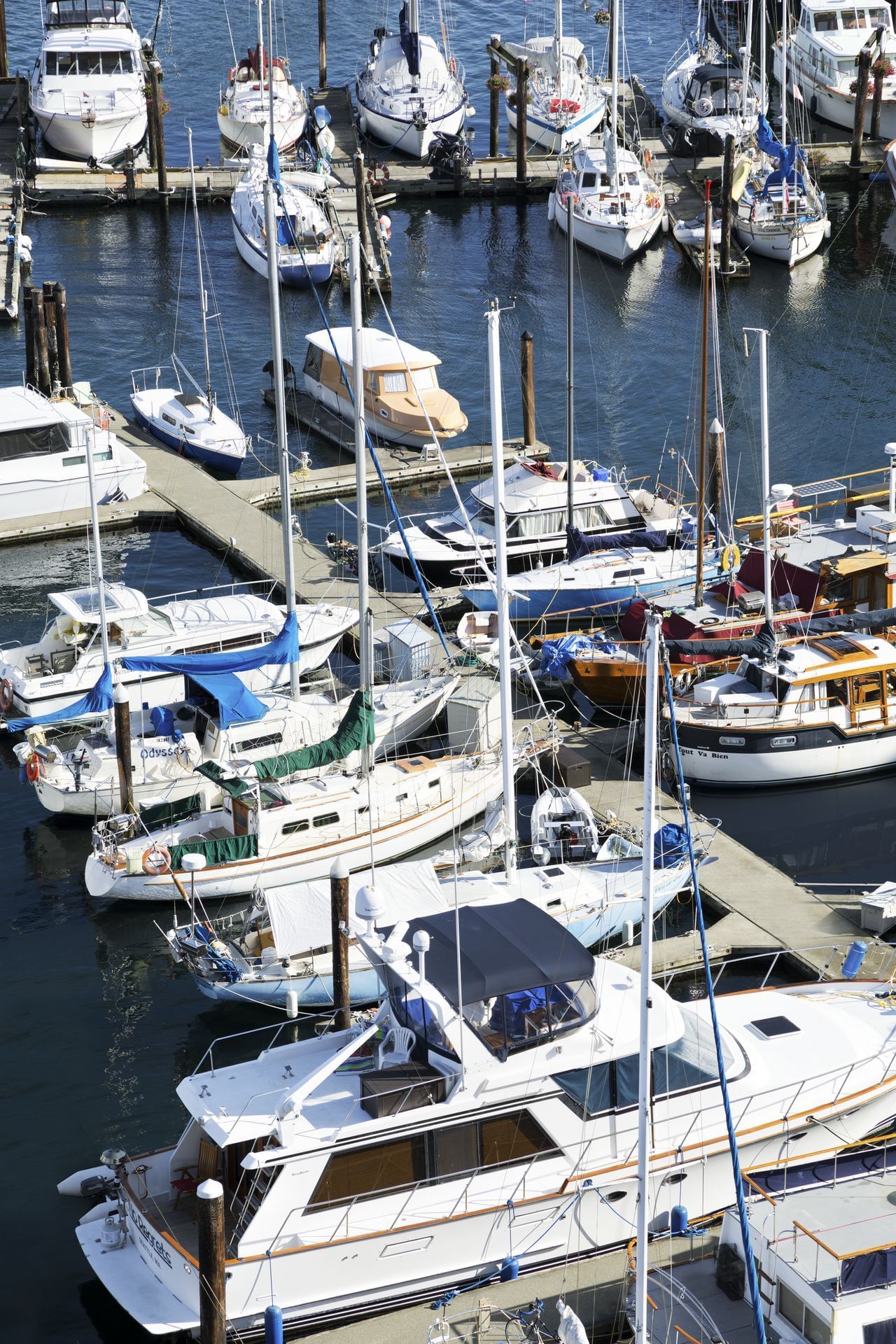 Marina with boats