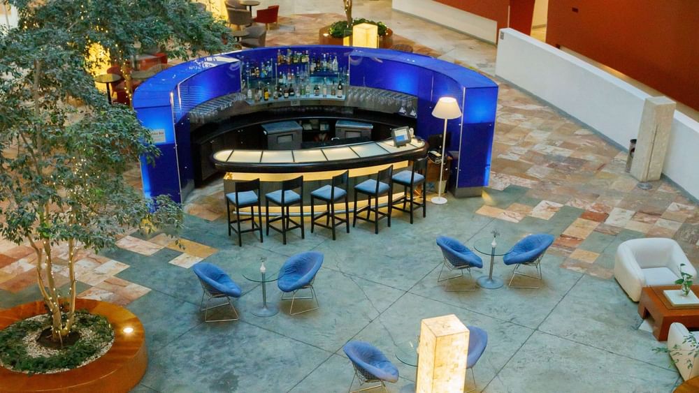 Modern circular Lobby Bar featuring vibrant blue panels, high stools, and indoor trees at Camino Real Pachuca