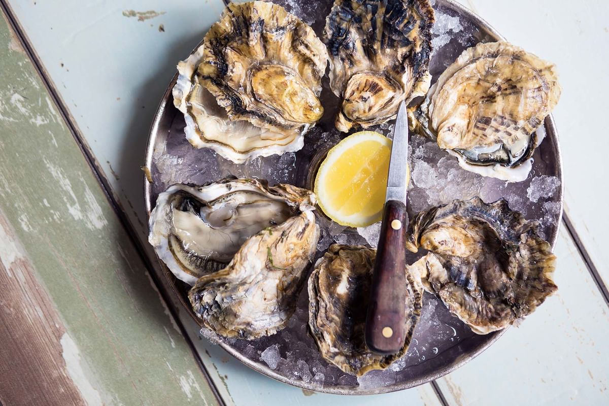 Ondine Oyster & Grill | Seaton House