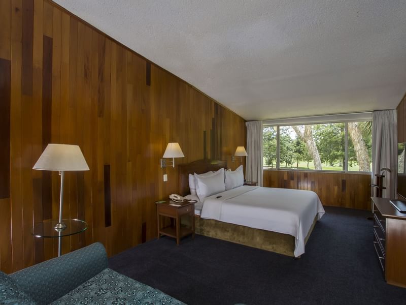 Interior of Junior Suite with carpeted floors at Gamma Hotels