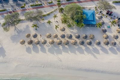Aerial view of Bamboo Huts on the beach near Amsterdam Manor