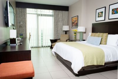 Cama Queen Deluxe