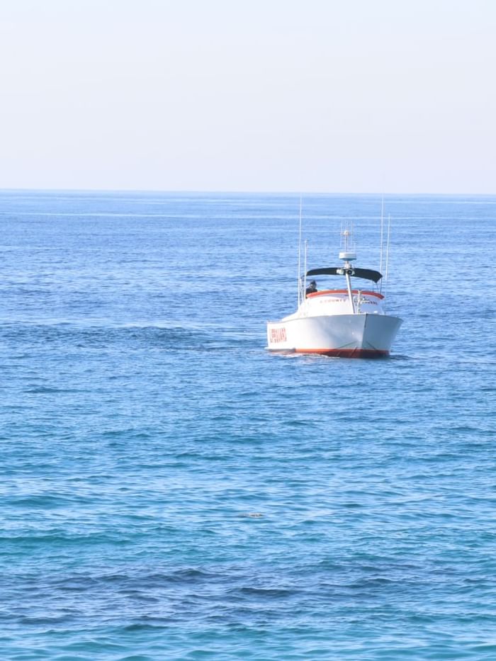 Small fishing boat arriving to Watersound Inn