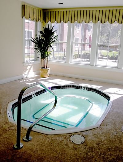A large hot tub with a metal railing and a lush plant by a window at The Pointe at Castle Hill