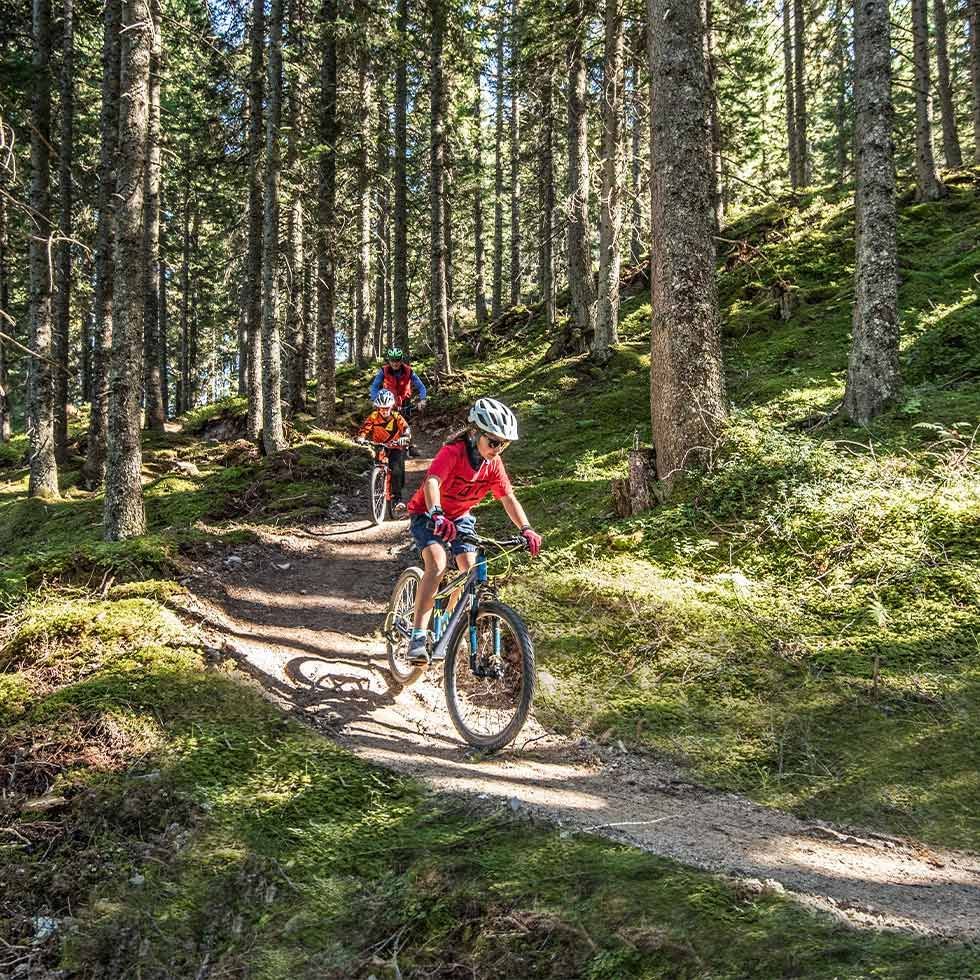 Radfahrer auf Bike-Trail im Wald