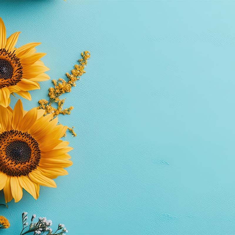 Two sunflowers and small flowers on a blue background for Where Spring Begins offers.