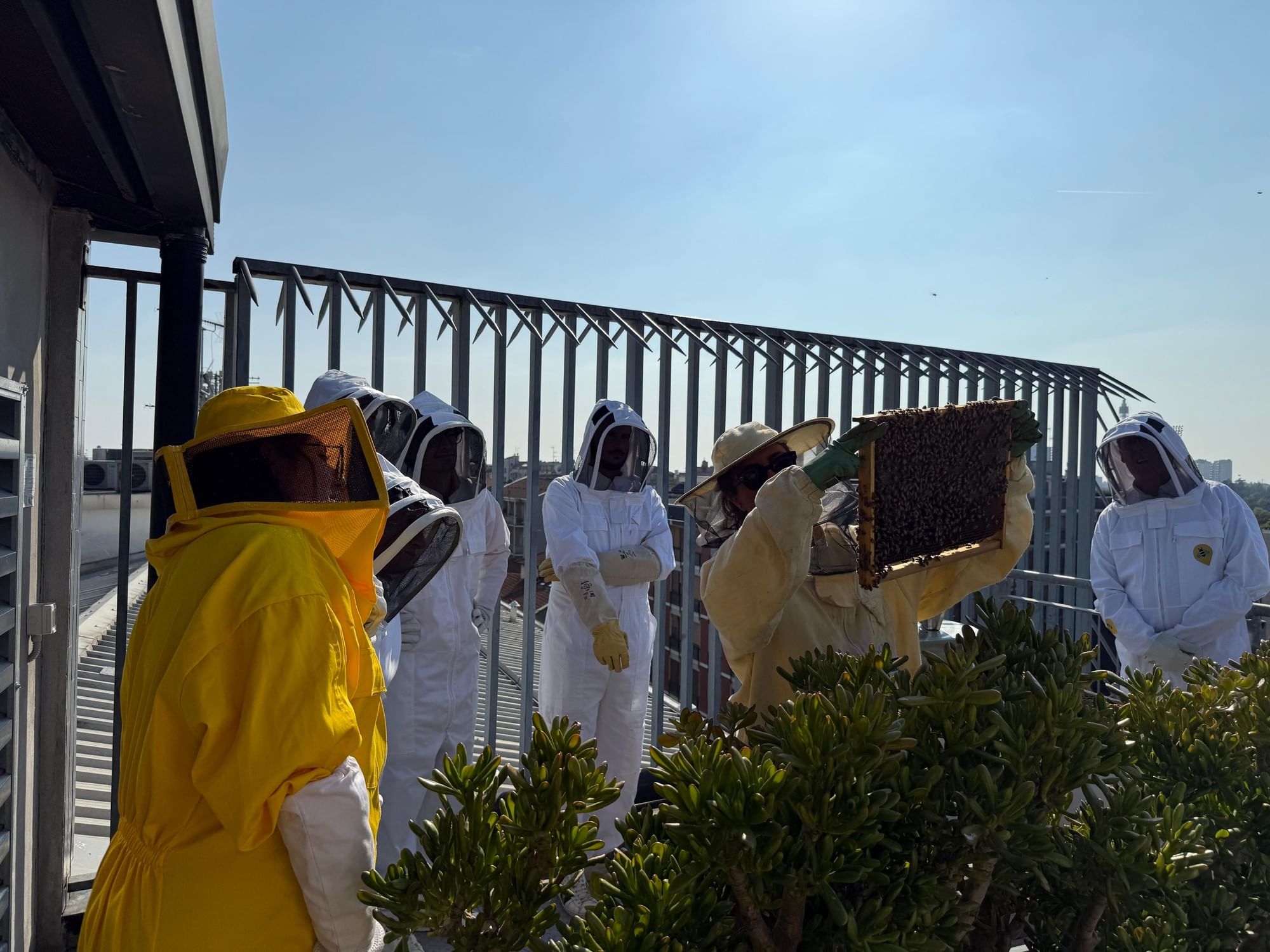 Urban beekeepers in white and yellow suits tending to a honeycomb frame on the rooftop garden at Urban Hive Milano