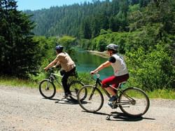 2 bikes following a bike trail near Heritage House Resort