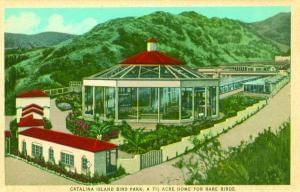 Vintage postcard of a glass building and surrounding structures with hills in the background used at Catalina Island Company