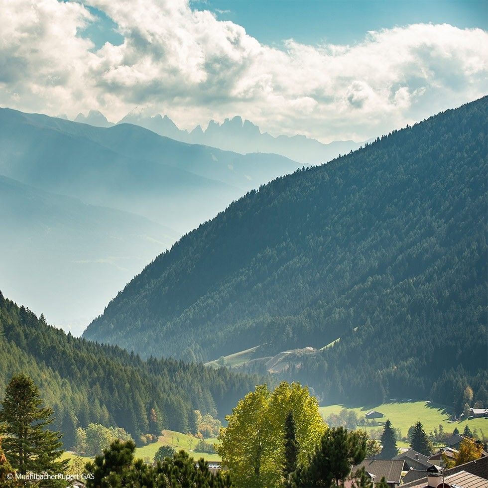 Panoramabild einer Berglandschaft mit Wald, Wiesen und Häusern unter einem blauen, wolkigen Himmel.