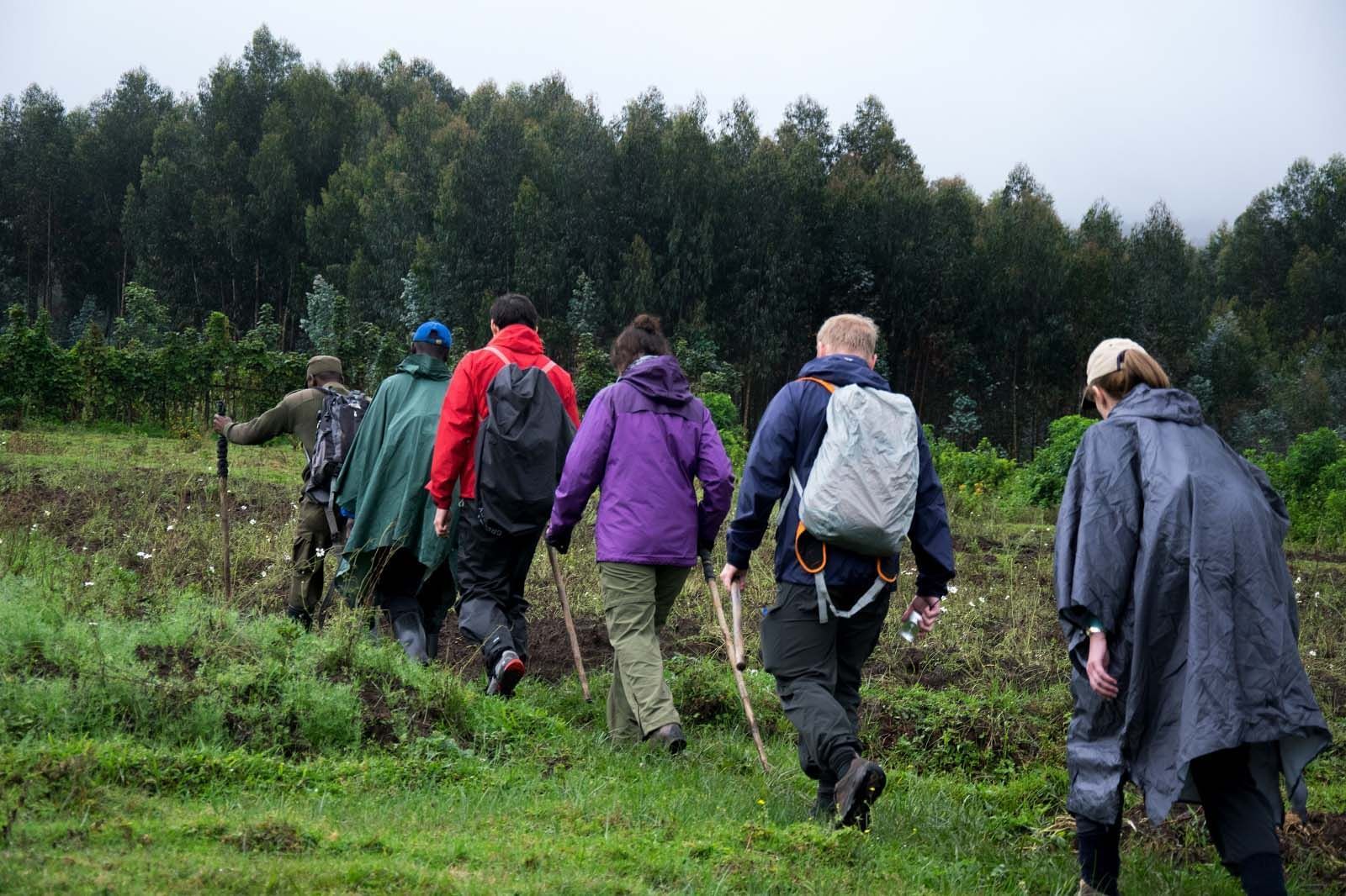 Hikers Climbing a mountain near Goma Serena Hotel