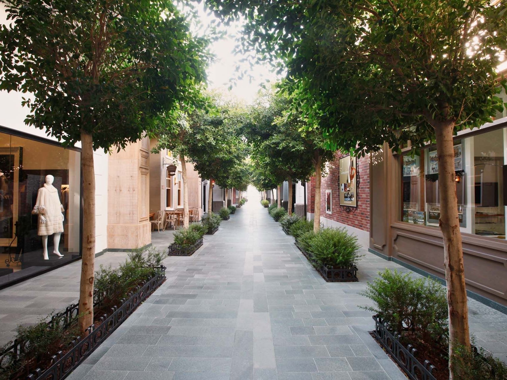 Trees planted beside the walking path of the shopping mall near Titanic Deluxe Golf Belek