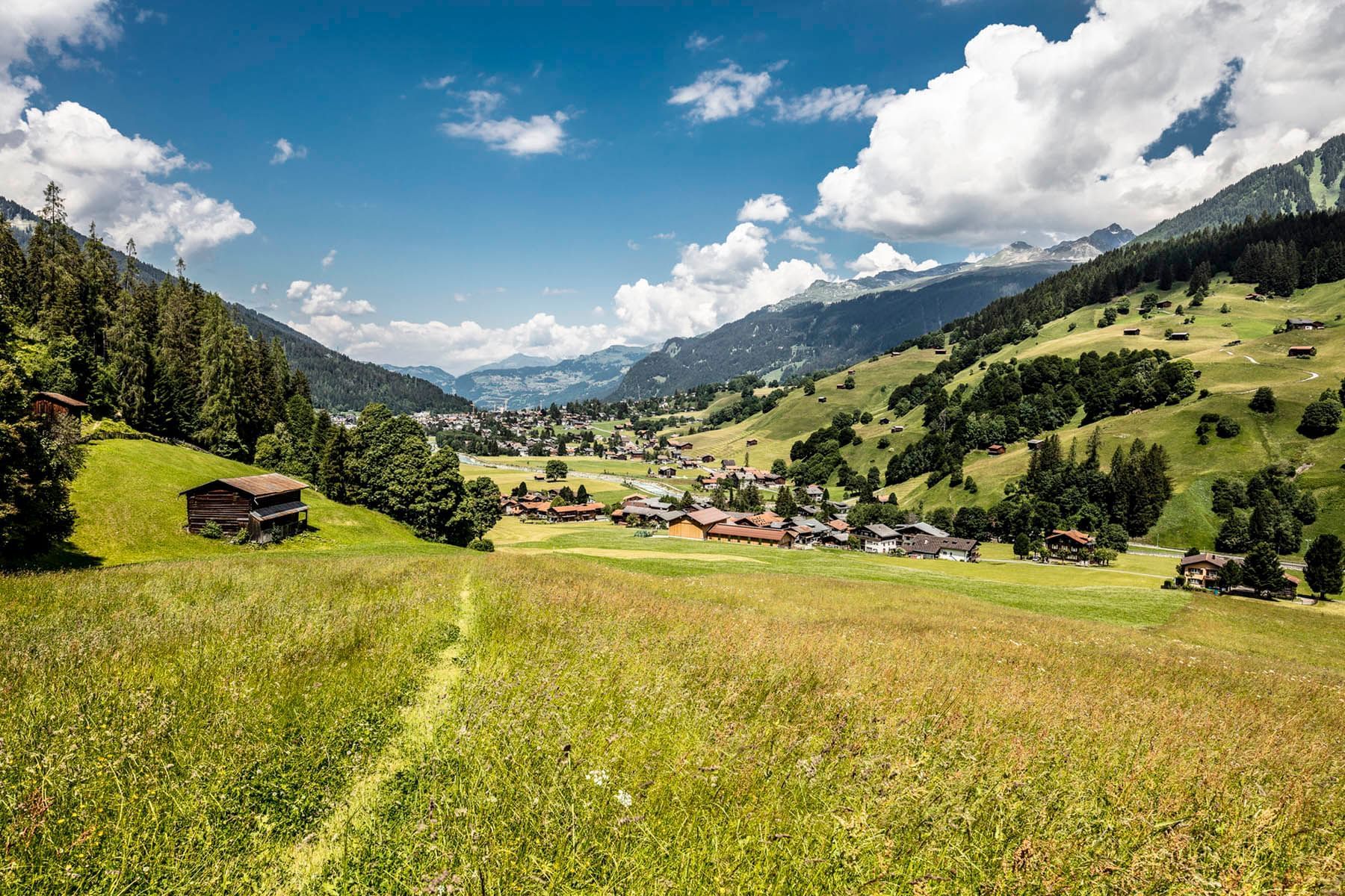 Outdoor landscape view