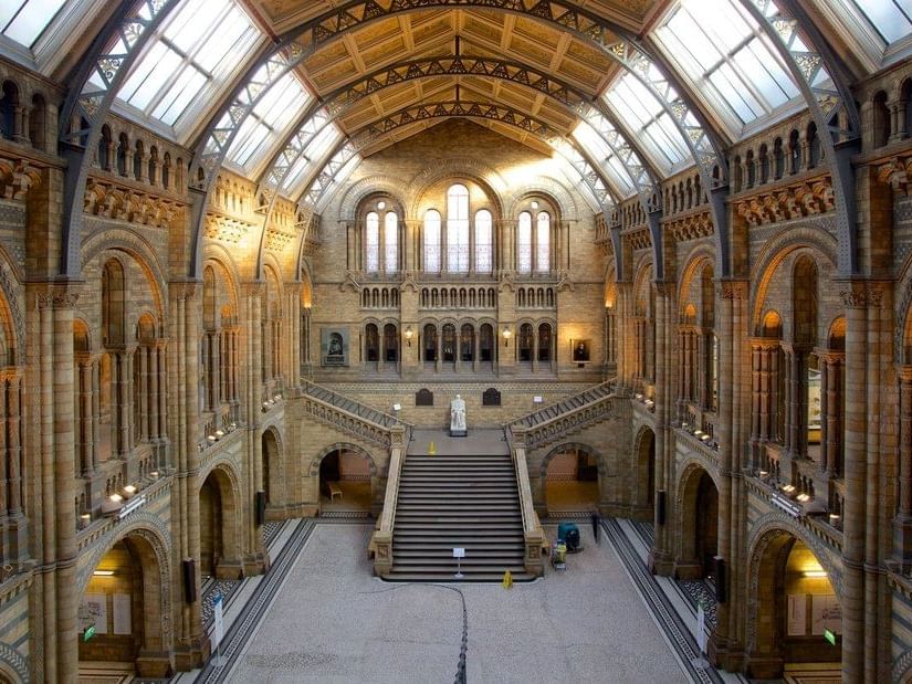 Interior of National history museum near Sloane Square Hotel