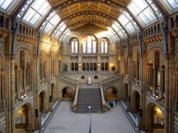 National history museum at Sloane Square Hotel