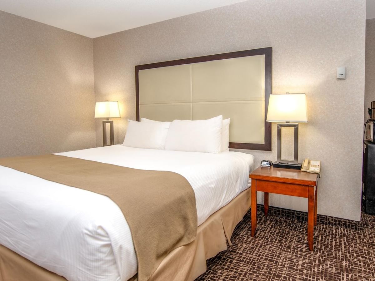 Hotel room with bed, nightstands, lamps, and refrigerator.