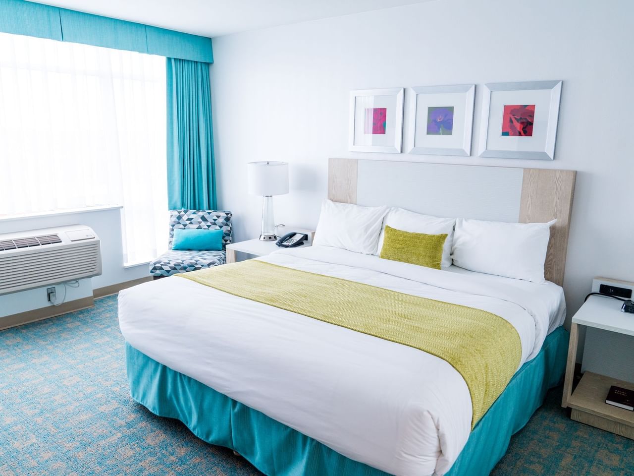 Coast Hotel Convention Centre Langley City - Comfort King(1)