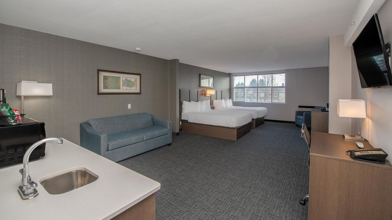 Two beds and a sofa bed in a room.