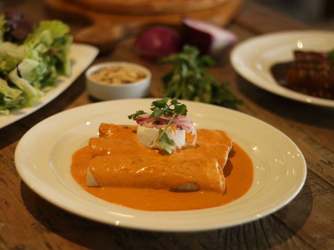 Chicken Enchilada served in Papagayo Restaurant at Gamma Hotels