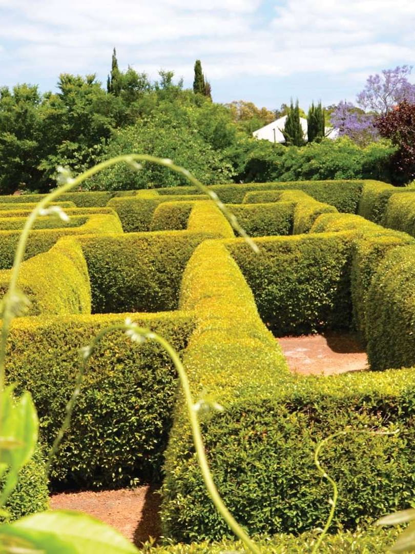 The Sebel Mandurah - Miniature garden