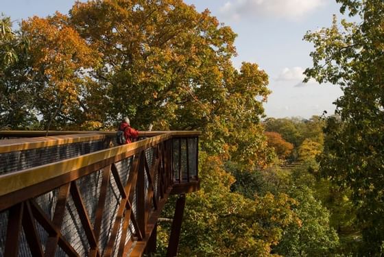 Landscape view of Petersham Meadows near Richmond Hill Hotel