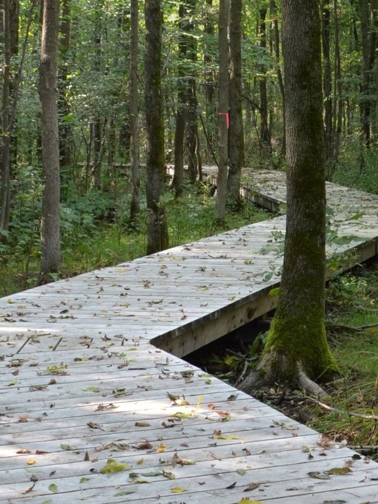 Nature-Action Québec poster featuring a wooden pathway winding through a forest used at Warwick Le Crystal Montreal
