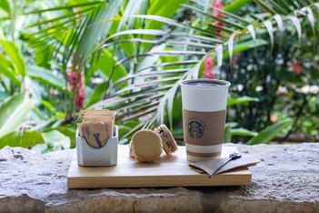 Hot coffee and cookies on a wooden board by a stone ledge under tropical palm leaves at Hotel Chan-kah Resort Village