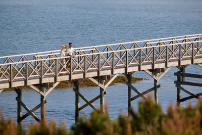 Beach near The Magnolia Hotel