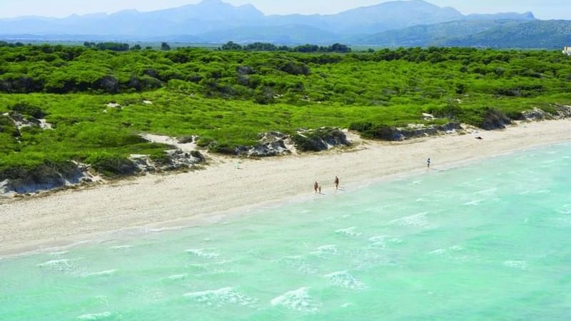 Playas de Muro, visita las playas mejores playas de Mallorca en Alcudia, Pollensa, Formentor. Bucht von alcudia