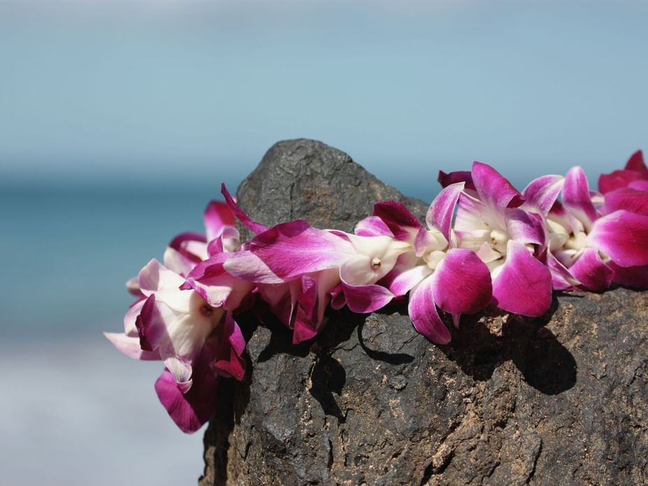 Exploring the Art and Tradition of the Hawaiian Lei | Waikiki Resort Hotel