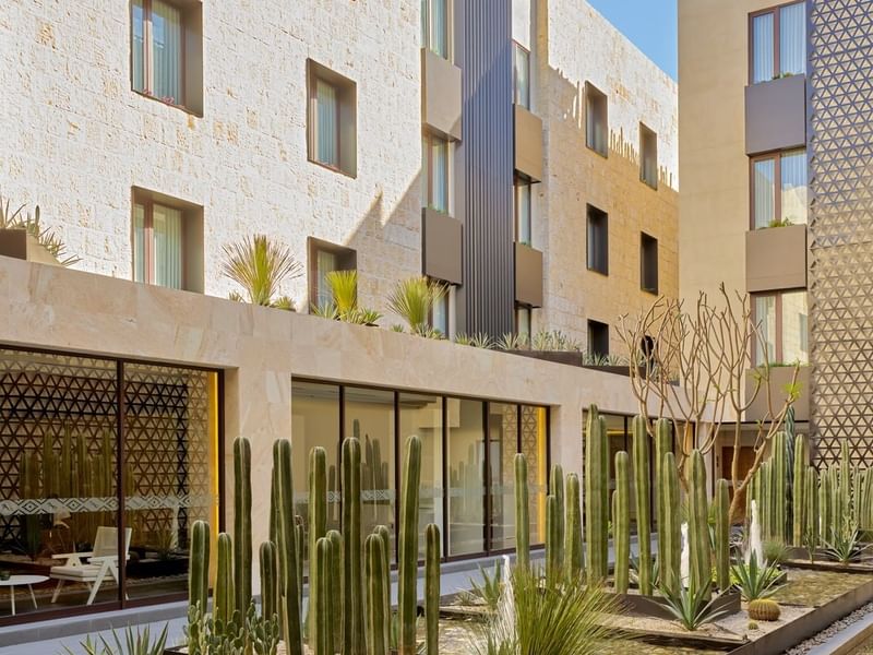 Modern courtyard with tall cacti and desert plants in planters, framed by glass windows at Grand Fiesta Americana