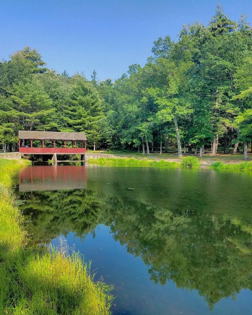 Summer Getaway to Farmington Valley