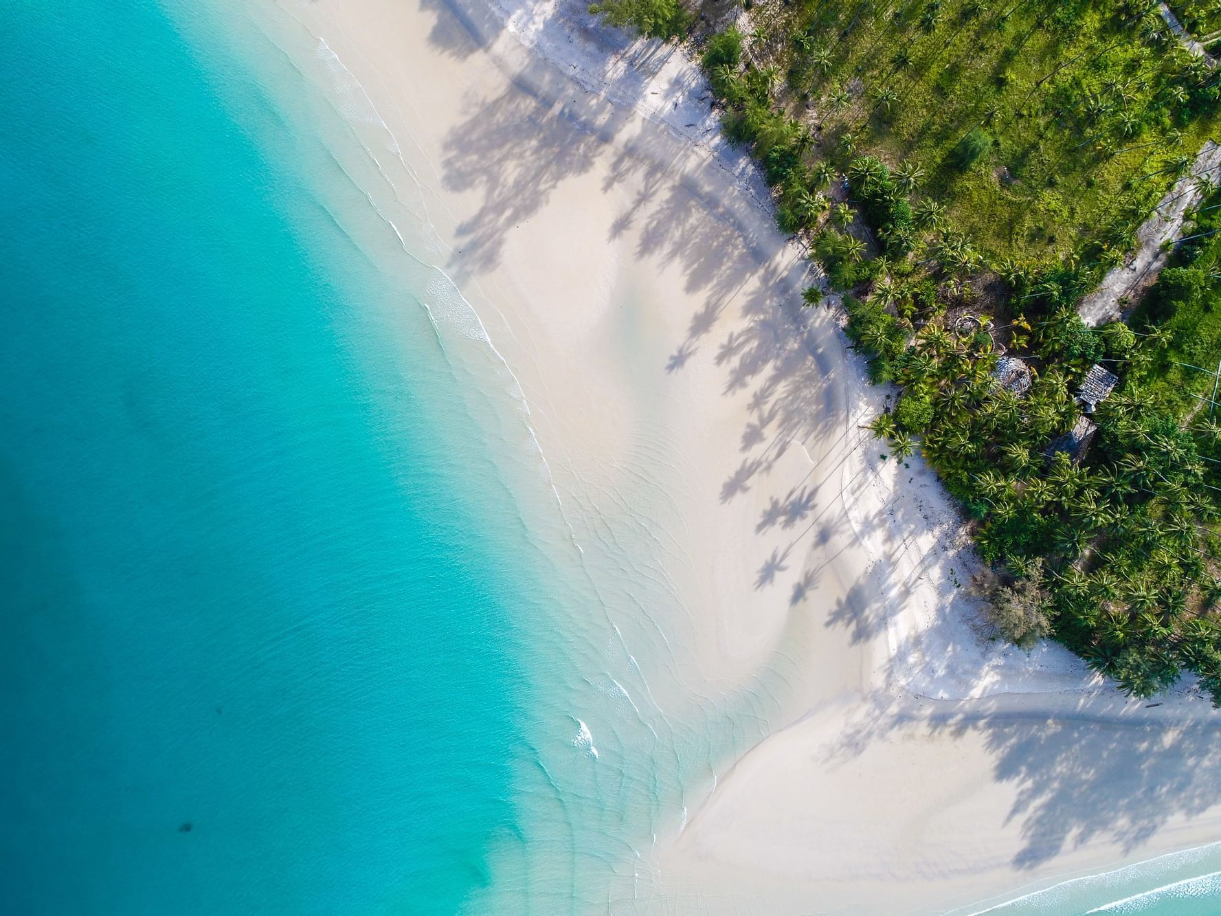 Aerial view of the beach at Daydream Island Resort
