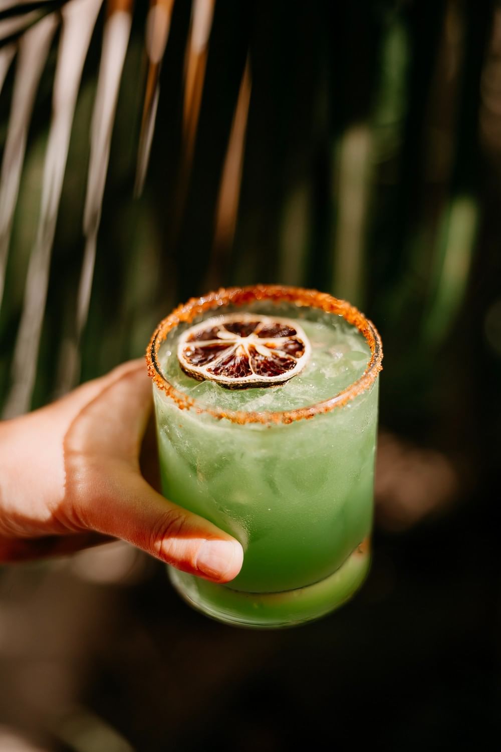Refreshing green cocktail garnished with a dried lime slice and a spiced rim served at Cala Luna Boutique Hotel