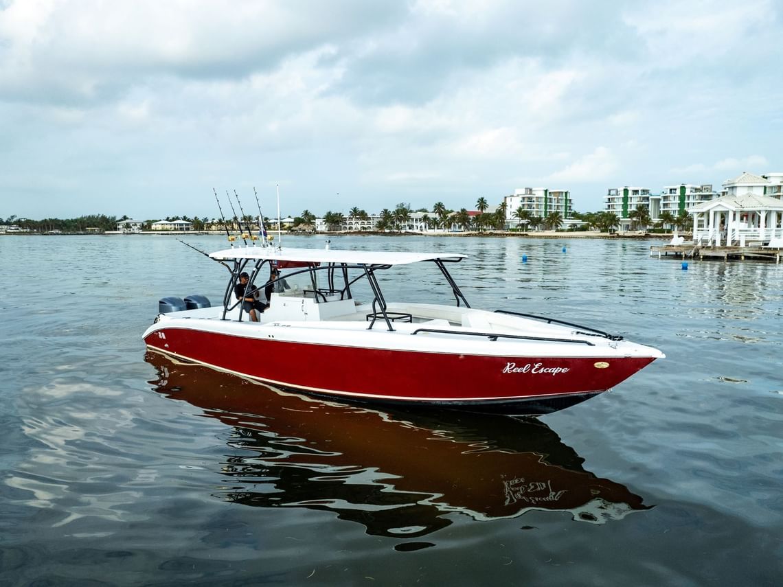 Elevate your experience at Alaia Belize! | Alaia Belize Autograph ...