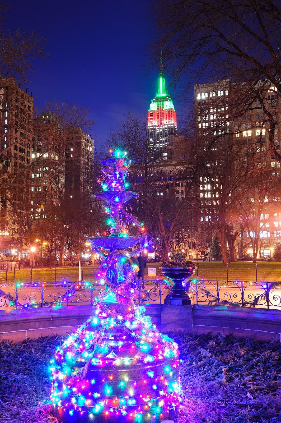 A nighttime view of a city park with a fountain and trees decorated with colorful lights.